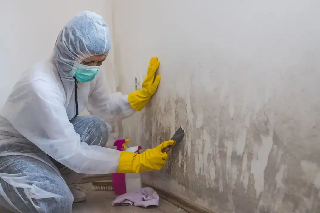 water damage restoration service Breezy Hill